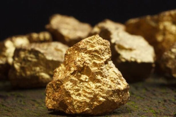 Aumento del oro impulsa beneficios a $33,3 millones el 2024