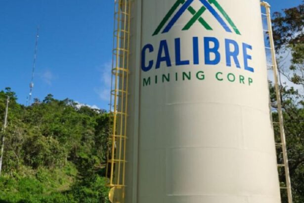 Calibre Mining Corp. se involucra en venta de activo aurífero