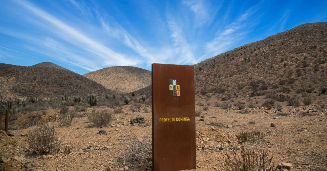 Tribunal Ambiental de Antofagasta anula decisión contra proyecto Dominga