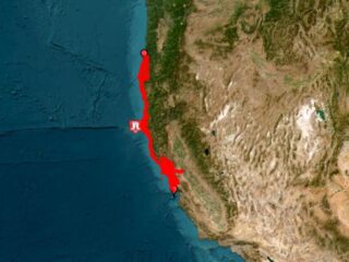 Fuerte terremoto sacude las costas de California: cancelan alerta de tsunami en EE.UU