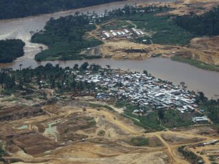 Reserva de Vida Silvestre Okapi en peligro: Comunidades y expertos acusan a Kimia Mining de corrupción y daño ecológico en el Congo