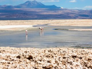 “El salar de Atacama es un condenado a muerte”: Atacameños presentan demanda por hundimiento del ecosistema