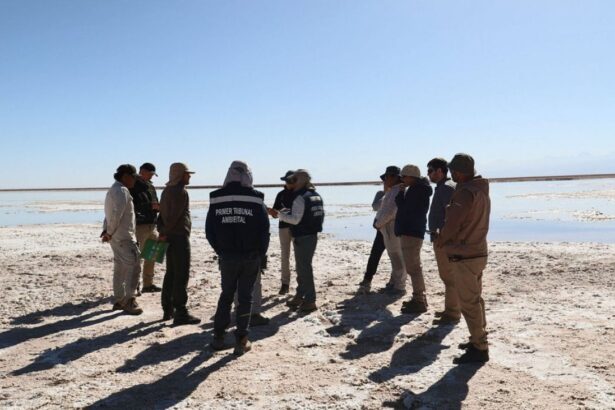 Histórico acuerdo de 47 millones de dólares para reparar daño ambiental en acuífero de San Pedro de Atacama