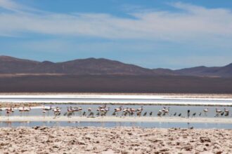 Acuerdo histórico en Antofagasta: Estado, comunidad indígena y mineras unen fuerzas para restaurar daño ambiental