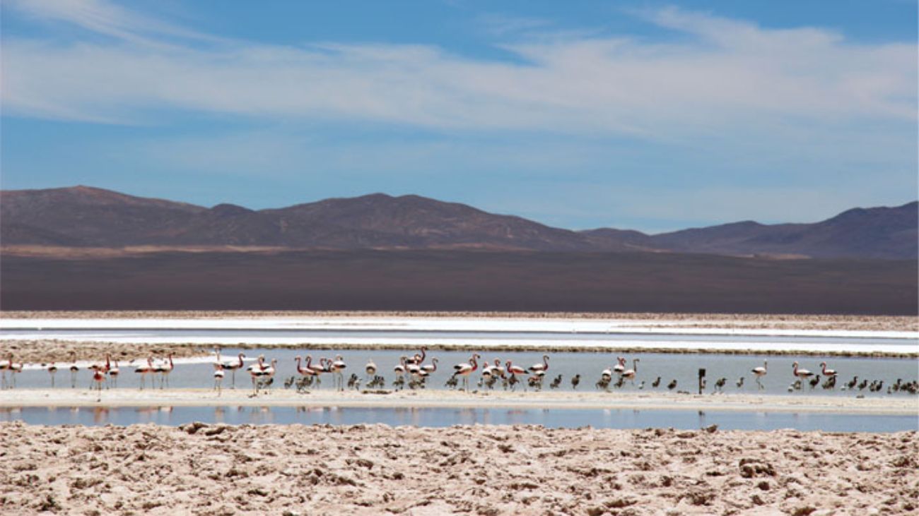 Acuerdo histórico en Antofagasta: Estado, comunidad indígena y mineras unen fuerzas para restaurar daño ambiental