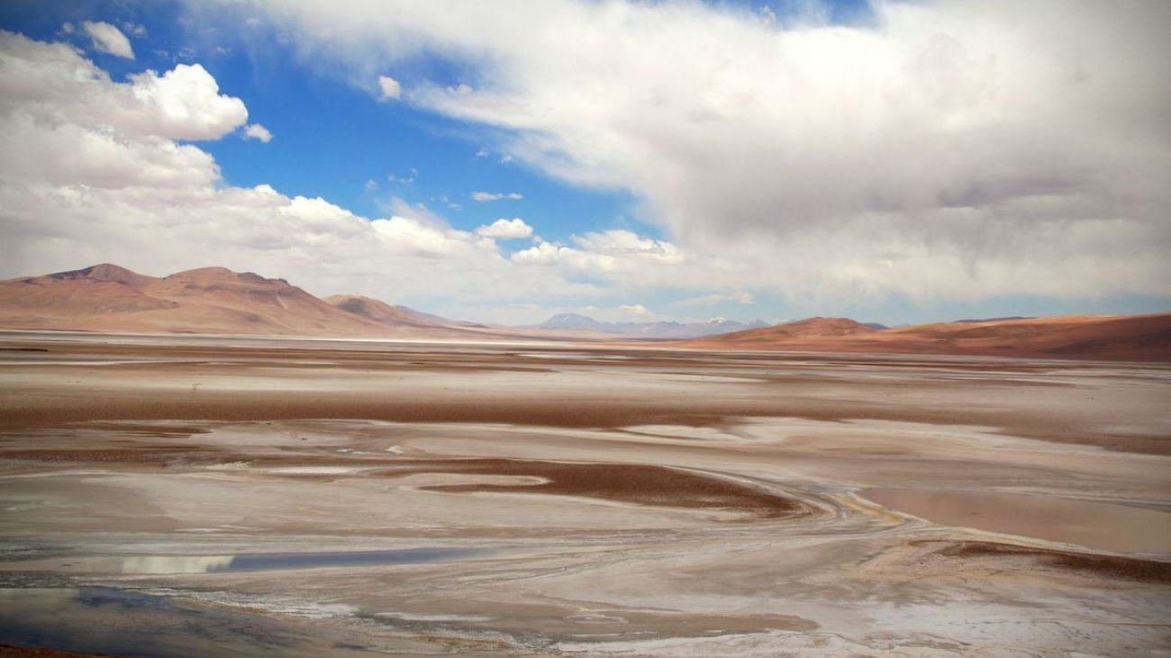 Conflicto en Atacama: Comunidad Indígena y Gobierno Chileno en Disputa por Leyes de Biodiversidad y Derechos Ancestrales