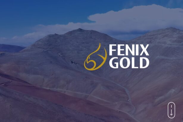 Importantes avances en desarrollo de Fenix Gold en Región de Atacama