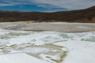 Extensión del régimen cautelar para Quiborax en el Salar de Surire