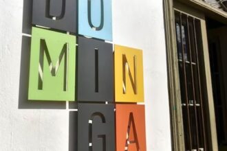 Andes Iron niega pronunciamiento del Comité de Ministros sobre Dominga