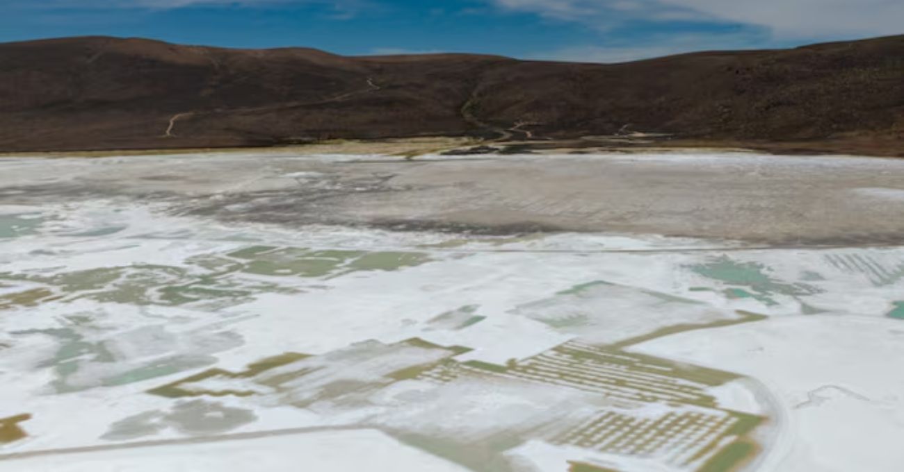 Quiborax en Salar de Surire: permiso extendido, cuidado ambiental en foco.