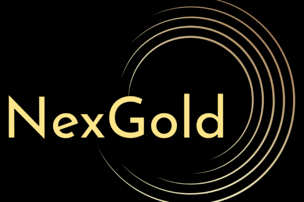 NexGold Mining destaca hitos y logros clave en 2025