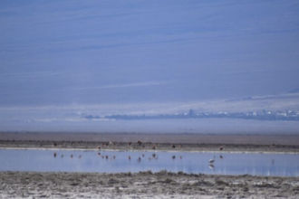 Denuncian impacto ambiental en áreas de SQM y Albemarle en Atacama.