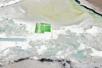 Tribunal Ambiental de Chile extiende medidas cautelares en Salar de Surire para proteger biodiversidad hasta 2025