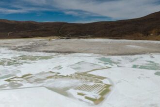 Tribunal Ambiental Extiende Medidas Cautelares para Quiborax en Salar de Surire hasta 2025: Impacto en la Biodiversidad y Fiscalización Detallada