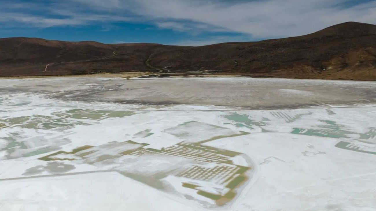 Tribunal Ambiental Extiende Medidas Cautelares para Quiborax en Salar de Surire hasta 2025: Impacto en la Biodiversidad y Fiscalización Detallada