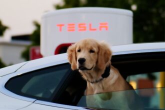 Tesla enfrenta primera caída en ventas anuales en una década mientras competidores ganan terreno en Europa y China