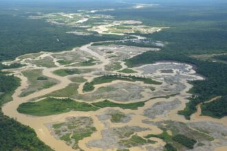 Minería Ilegal en Colombia: Crisis Ambiental y de Seguridad por Control de Grupos Armados