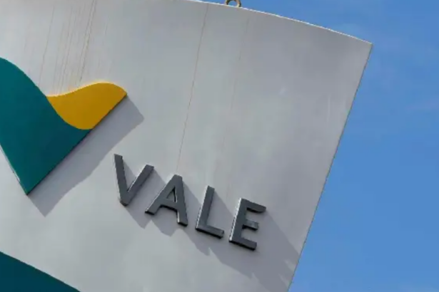 Vale adquiere control total de Baovale, fortaleciendo su posición mundial