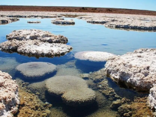 Lithium Chile ejecuta joint venture Molle Verde con Eramet de Francia