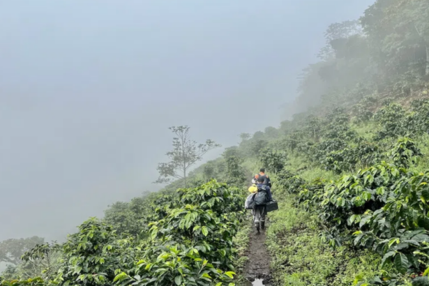 Colombia: Minería colectiva expande zona de rampa de alta ley al interceptar 51,95 metros a 8,38 g/t AuEq, incluyendo 18,05 metros a 16,32 g/t AuEq