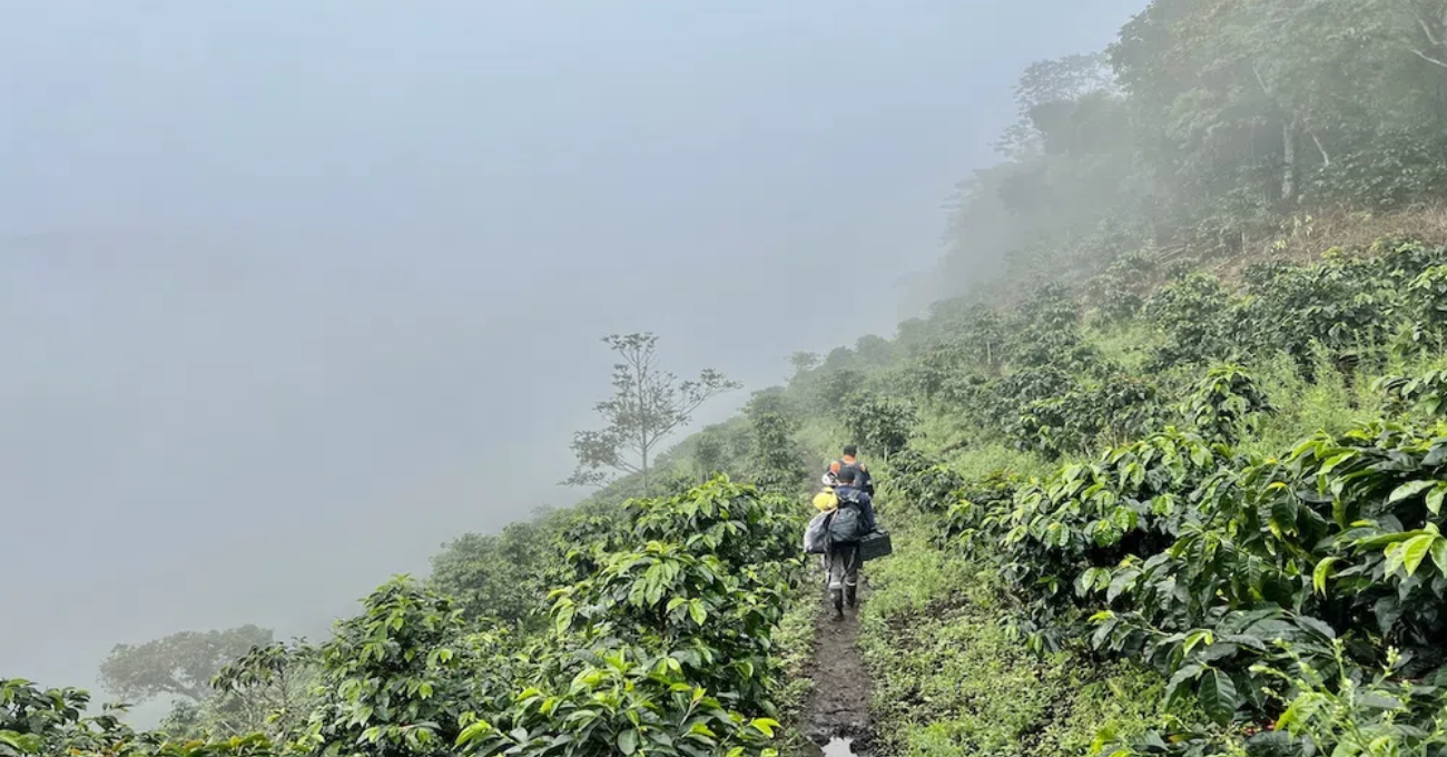 Colombia: Minería colectiva expande zona de rampa de alta ley al interceptar 51,95 metros a 8,38 g/t AuEq, incluyendo 18,05 metros a 16,32 g/t AuEq