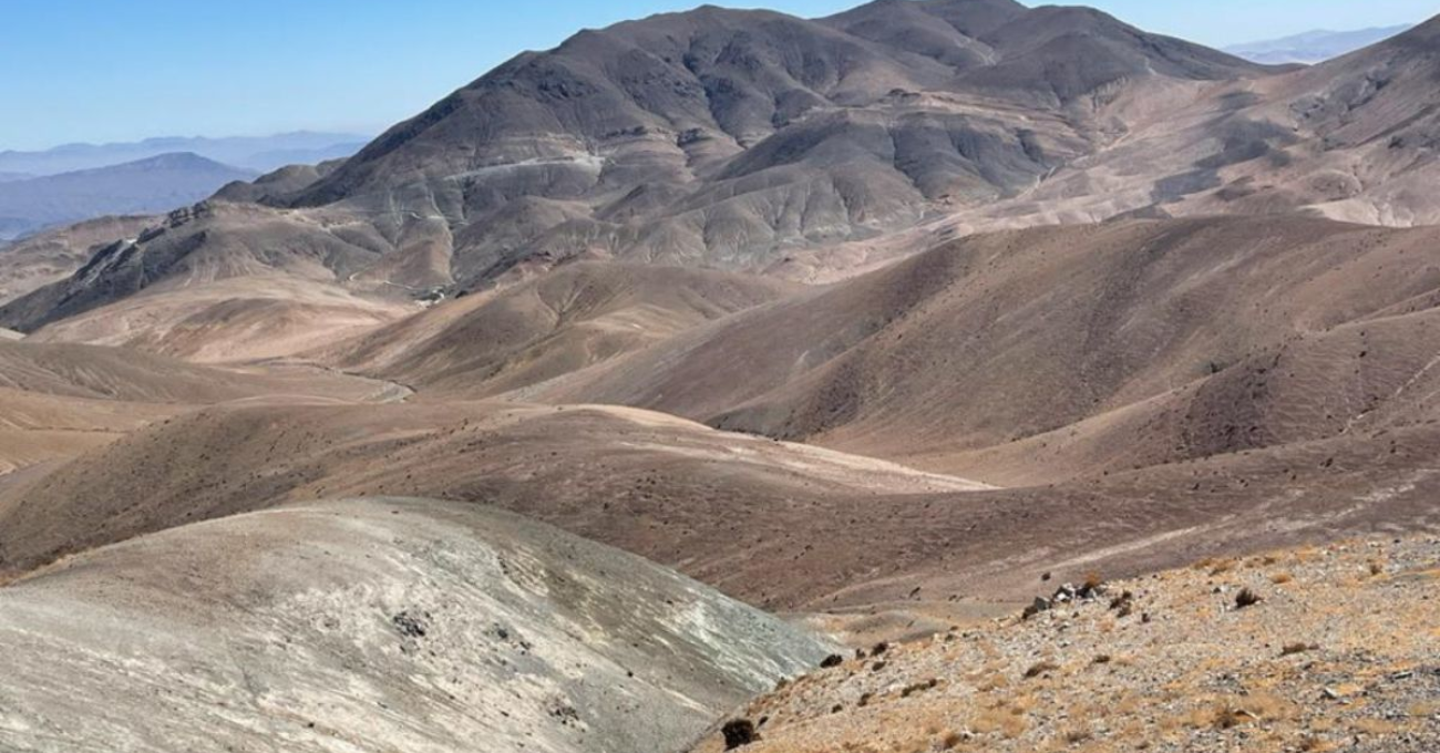 Descubrimiento de cobre de alto grado en proyecto prometedor en Atacama.