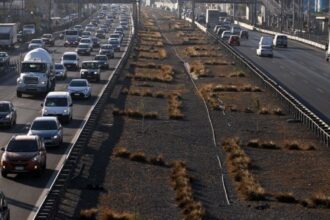 Cómo acceder a la rebaja del 80% en multas del TAG al pagar el permiso de circulación