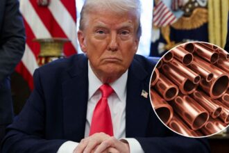 Trump ordena investigar importaciones de cobre y podría afectar a Chile