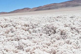 Estrategia Nacional del Litio: Chile avanza en la creación de la Red de Salares Protegidos