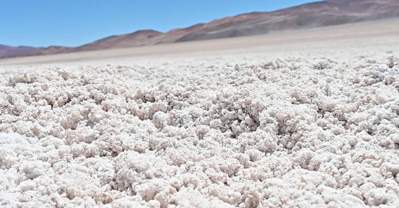 Estrategia Nacional del Litio: Chile avanza en la creación de la Red de Salares Protegidos