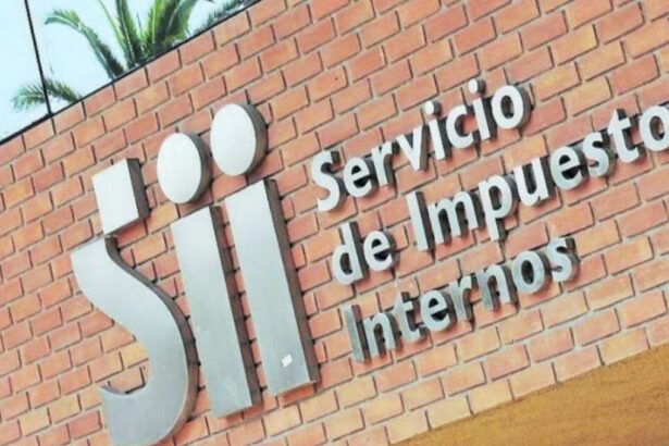 ​SII Chile 2025: Cómo iniciar actividades, emitir boletas, solicitar devolución de impuestos y consultar beneficios