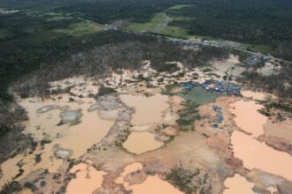 Exportación de Oro Ilegal en Perú Podría Aumentar 40% en 2025, Impactando el Mercado y Medio Ambiente