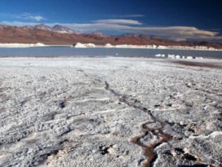 Grupo Errázuriz y Lithium Chile postulan a CEOL en proyecto de litio en el salar de Coipasa