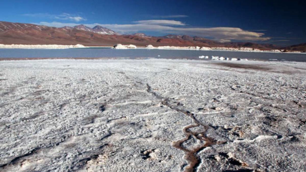 Grupo Errázuriz y Lithium Chile postulan a CEOL en proyecto de litio en el salar de Coipasa