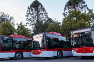 Santiago da un salto hacia la sustentabilidad con 50 nuevos buses eléctricos en su red de transporte público