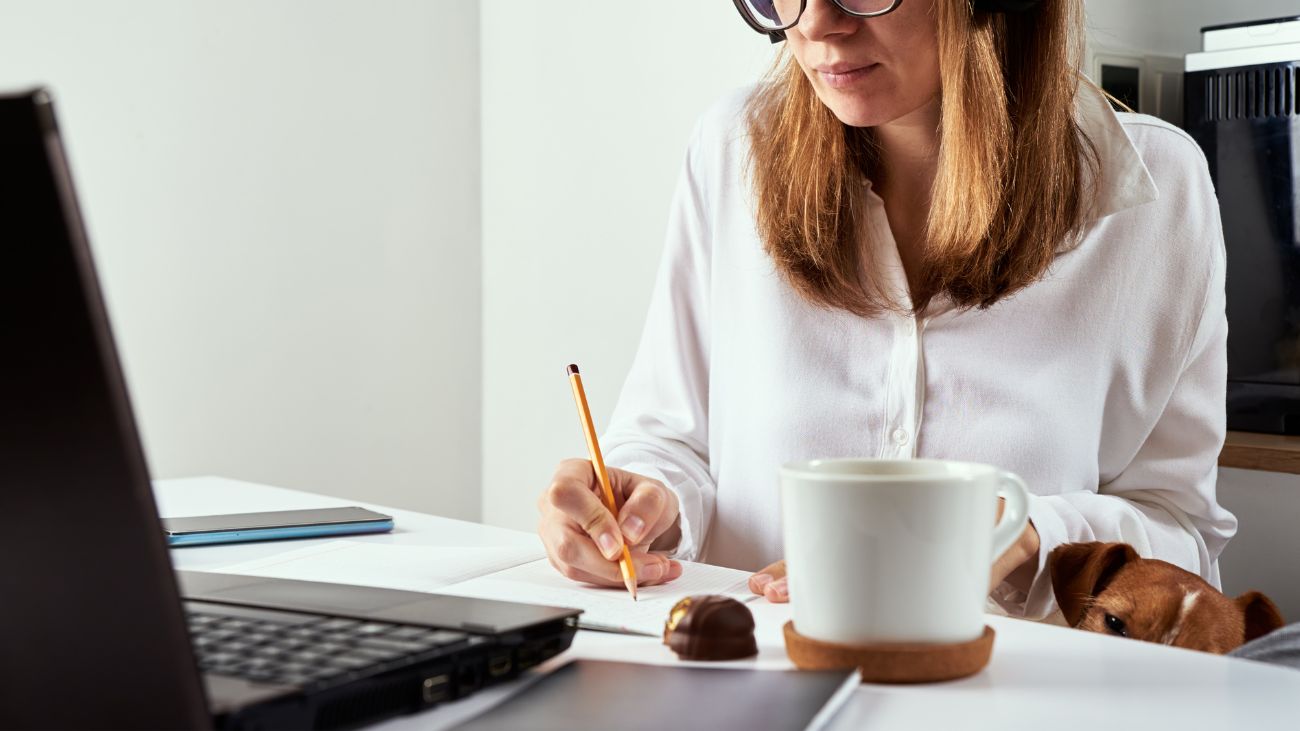 Sence Lanza 5.000 Cupos en Cursos Gratuitos de Inglés y Portugués para Fortalecer Micro y Pequeñas Empresas en Chile