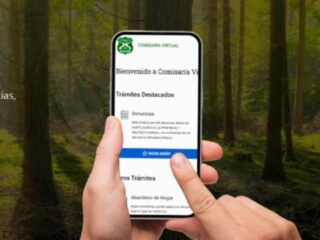 Carabineros Activa Comisaría Virtual para Tramitar Salvoconductos Durante Toque de Queda por Apagón en Chile