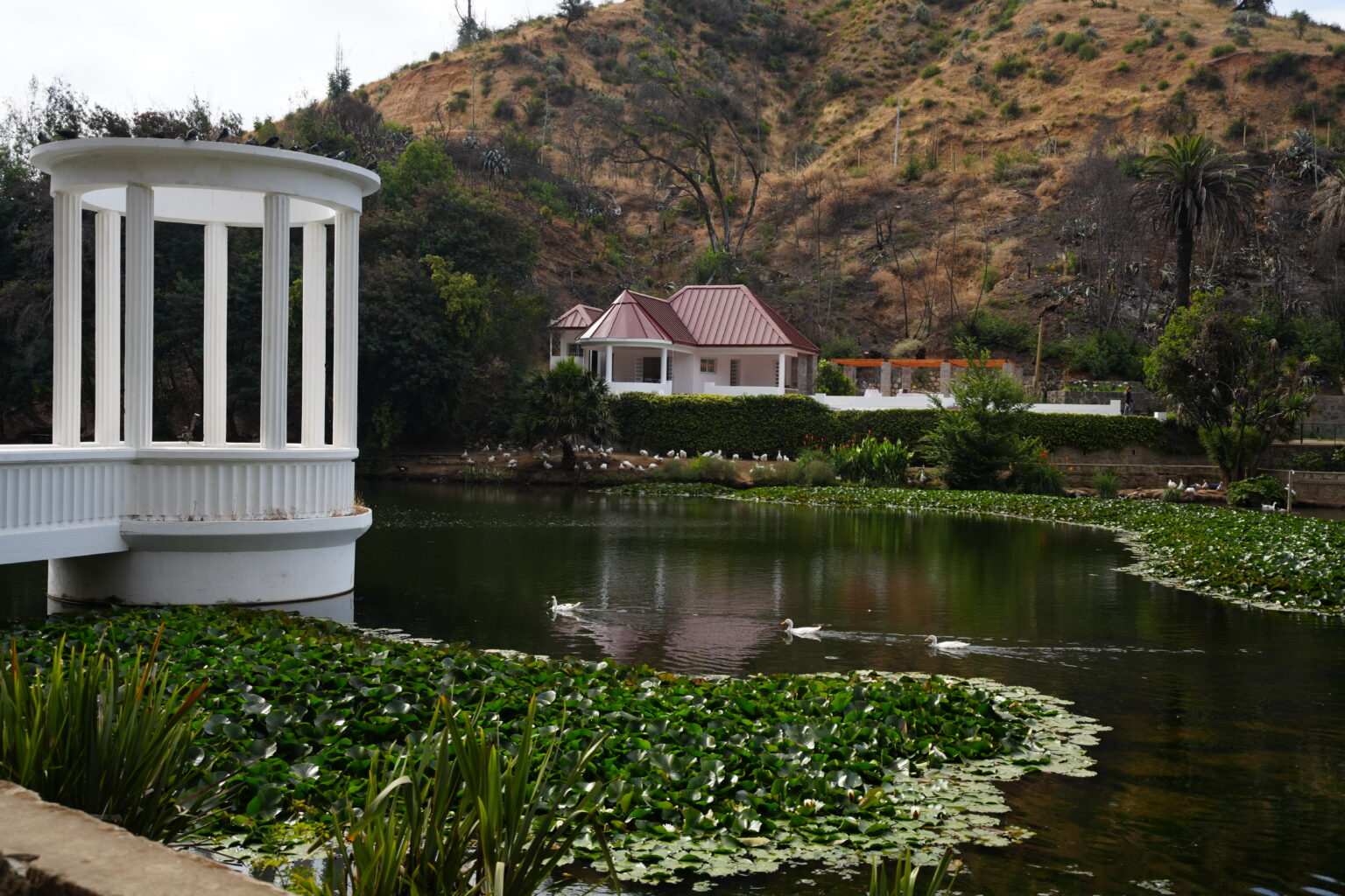 Jardín Botánico de Viña invita a visitar sus áreas verdes y espacios recreativos recuperados tras el megaincendio de hace un año