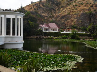 Jardín Botánico de Viña invita a visitar sus áreas verdes y espacios recreativos recuperados tras el megaincendio de hace un año