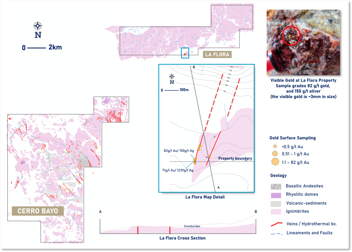 Argentina: Latin Metals descubre oro visible en el proyecto La Flora, Santa Cruz