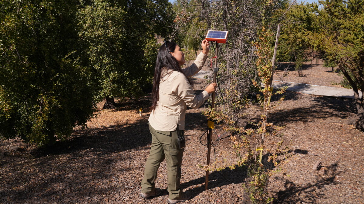 Primer jardín botánico de especies nativas de la región Metropolitana logró reducir en un 20% su consumo de agua  