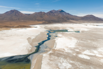 Audiencia por daño ambiental en Salar de Surire: propuesta de acuerdo analizada.