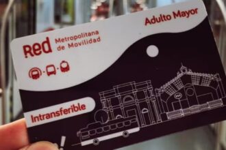 Así puedes obtener gratis la Tarjeta Bip! Adulto Mayor y viajar por solo $370