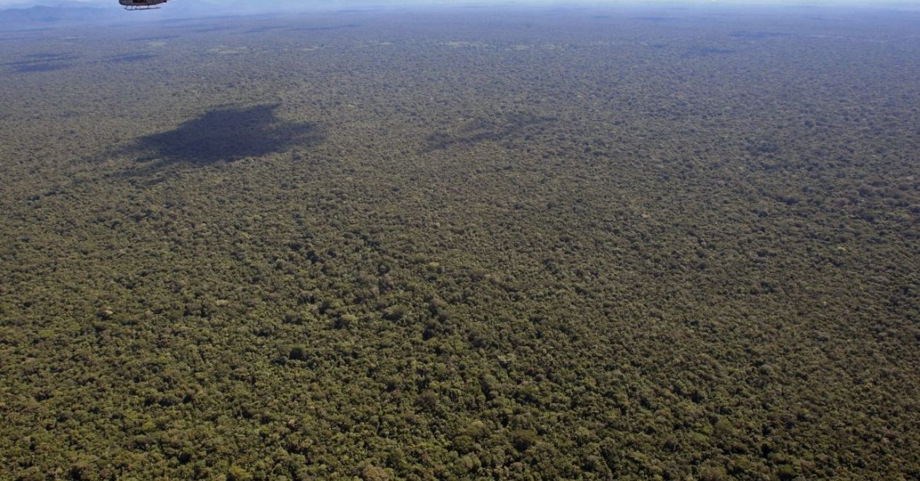 Militares venezolanos destruyen campamento minero ilegal en Amazonas