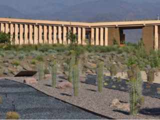 Primer jardín botánico de especies nativas de la región Metropolitana logró reducir en un 20% su consumo de agua  