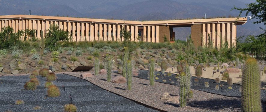 Primer jardín botánico de especies nativas de la región Metropolitana logró reducir en un 20% su consumo de agua  