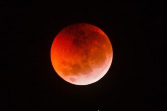 Eclipse Lunar Total en Marzo 2025: No Te Pierdas la Fascinante Luna de Sangre Visible Globalmente