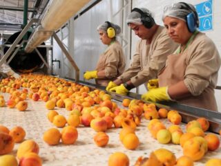 Aconcagua Foods Ofrece Nuevas Oportunidades Laborales en la Región Metropolitana: Postula a Diversas Posiciones con Salarios Competitivos