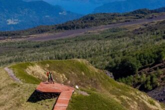 Acceso Gratuito a 19 Parques Nacionales en Chile este 6 de Abril por el Día Nacional del Deporte