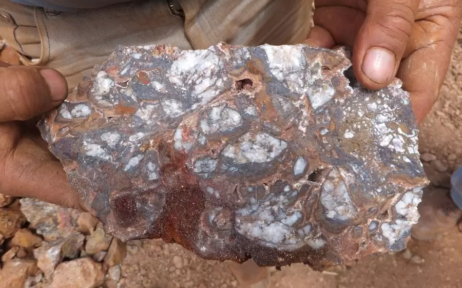 Red Metal Resources Comienza Programa de Muestreo y Mapeo en su Propiedad IOCG de Carrizal